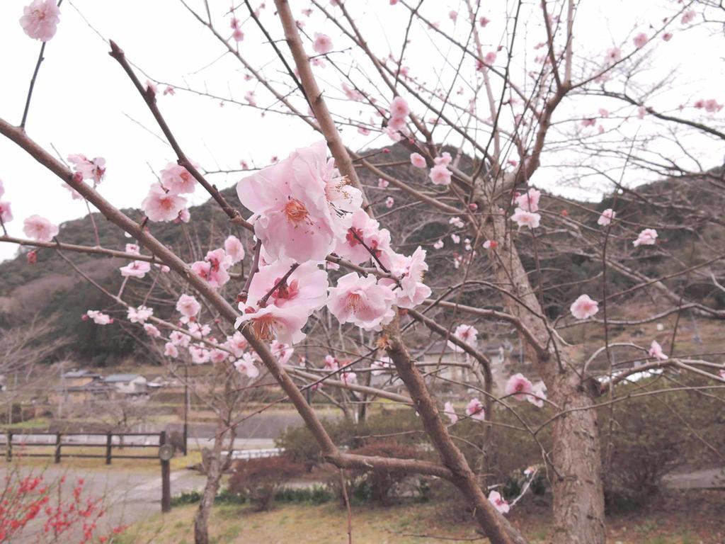 Kawasemi Hotel Ogawa  ภายนอก รูปภาพ